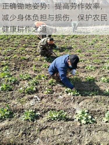 正确锄地姿势：提高劳作效率，减少身体负担与损伤，保护农民健康耕作之道