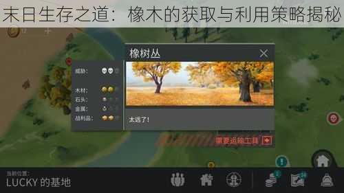 末日生存之道：橡木的获取与利用策略揭秘