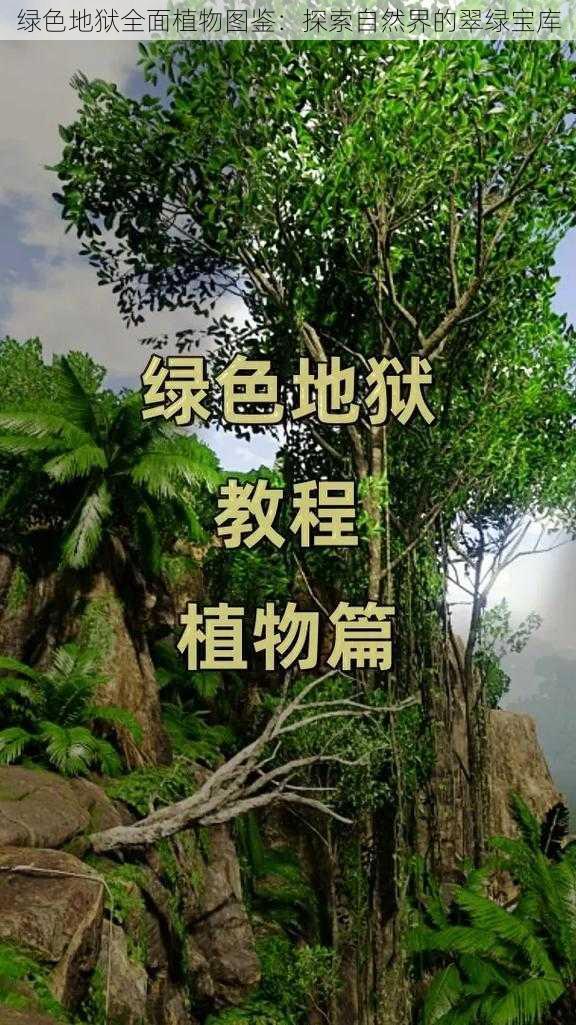 绿色地狱全面植物图鉴：探索自然界的翠绿宝库