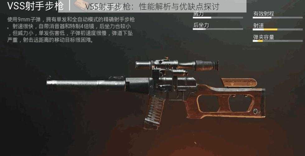 VSS射手步枪：性能解析与优缺点探讨