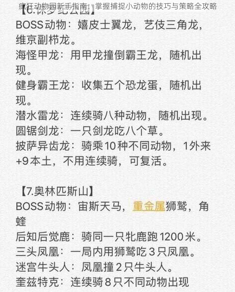 疯狂动物园新手指南：掌握捕捉小动物的技巧与策略全攻略