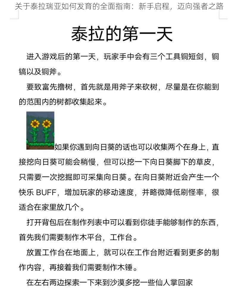 关于泰拉瑞亚如何发育的全面指南：新手启程，迈向强者之路