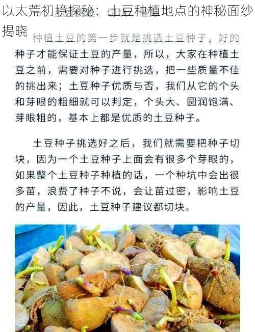 以太荒初境探秘：土豆种植地点的神秘面纱揭晓