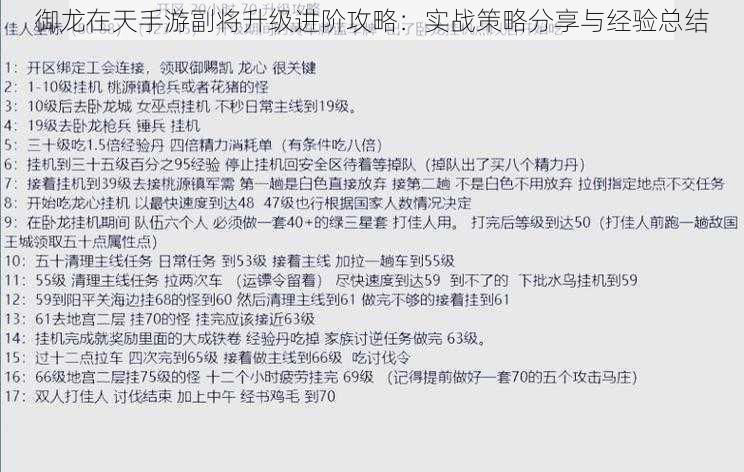 御龙在天手游副将升级进阶攻略：实战策略分享与经验总结